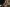 مسعود حبیبی